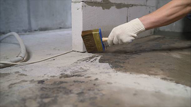 SJ Waterproofing Pros Waterproofing coverage map for Pentwater, MI and surrounding area